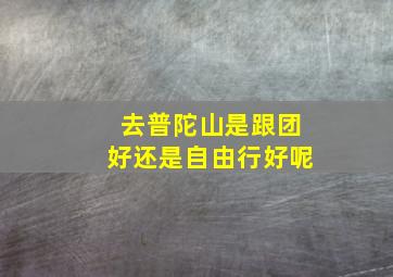 去普陀山是跟团好还是自由行好呢