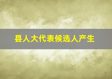 县人大代表候选人产生