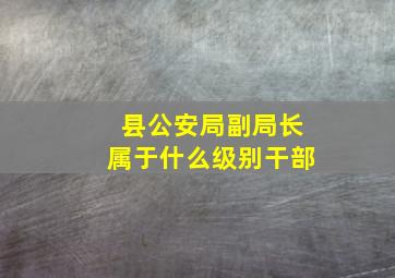 县公安局副局长属于什么级别干部