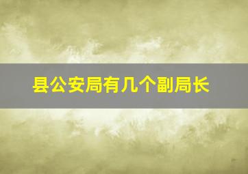 县公安局有几个副局长