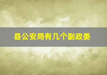 县公安局有几个副政委