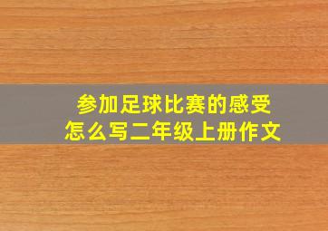 参加足球比赛的感受怎么写二年级上册作文