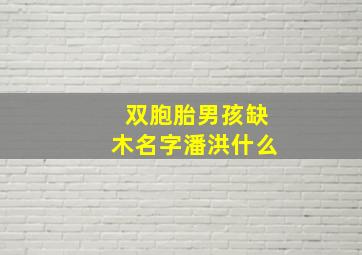 双胞胎男孩缺木名字潘洪什么