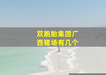 双胞胎集团广西猪场有几个