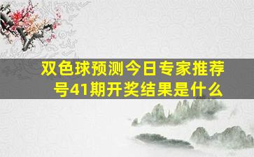 双色球预测今日专家推荐号41期开奖结果是什么