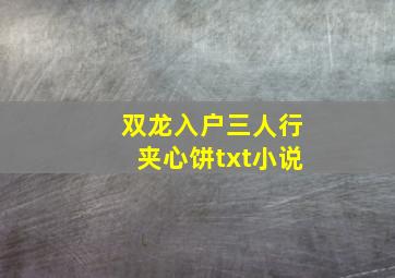 双龙入户三人行夹心饼txt小说