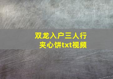 双龙入户三人行夹心饼txt视频