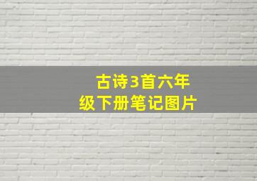 古诗3首六年级下册笔记图片