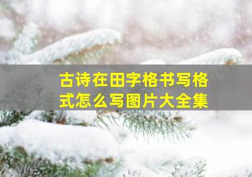 古诗在田字格书写格式怎么写图片大全集