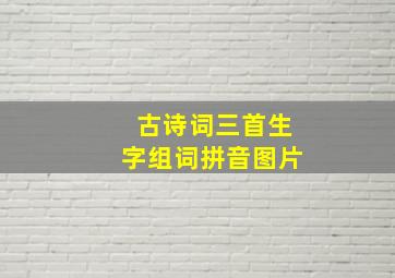 古诗词三首生字组词拼音图片