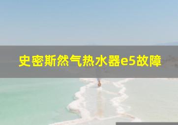 史密斯然气热水器e5故障