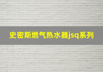 史密斯燃气热水器jsq系列