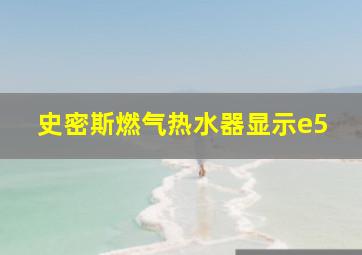 史密斯燃气热水器显示e5