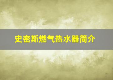 史密斯燃气热水器简介