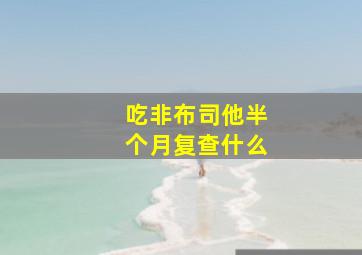 吃非布司他半个月复查什么