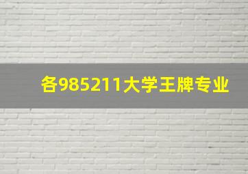 各985211大学王牌专业