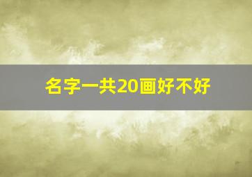 名字一共20画好不好