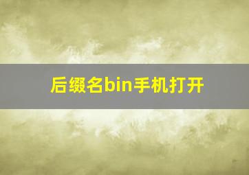 后缀名bin手机打开