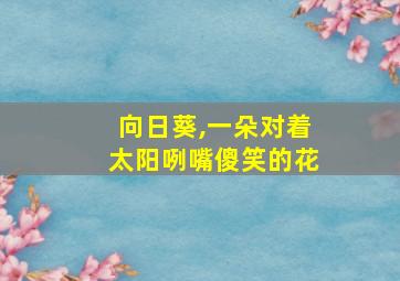 向日葵,一朵对着太阳咧嘴傻笑的花