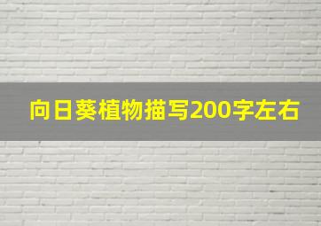 向日葵植物描写200字左右