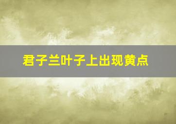 君子兰叶子上出现黄点