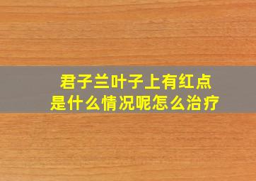 君子兰叶子上有红点是什么情况呢怎么治疗