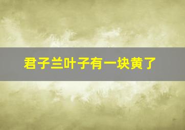 君子兰叶子有一块黄了