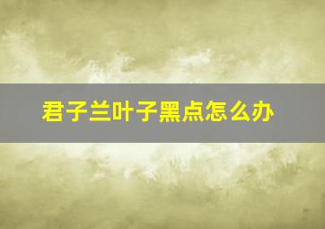 君子兰叶子黑点怎么办