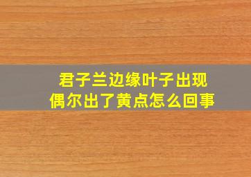 君子兰边缘叶子出现偶尔出了黄点怎么回事