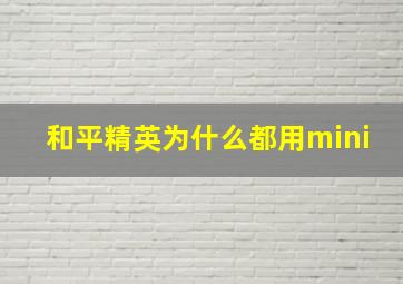 和平精英为什么都用mini