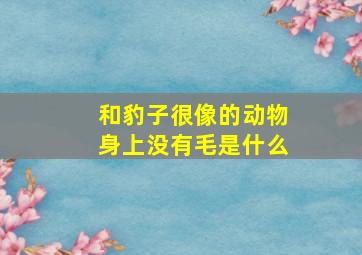 和豹子很像的动物身上没有毛是什么