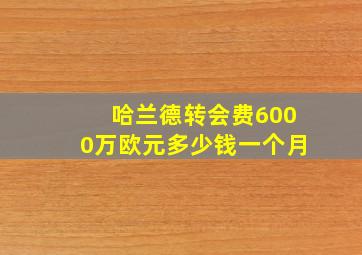 哈兰德转会费6000万欧元多少钱一个月