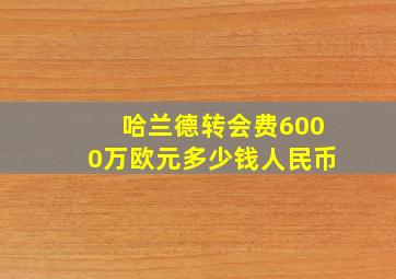 哈兰德转会费6000万欧元多少钱人民币