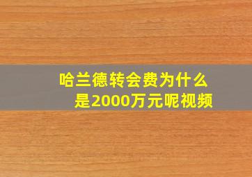 哈兰德转会费为什么是2000万元呢视频