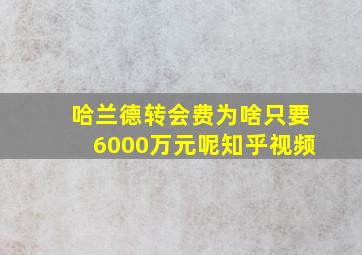 哈兰德转会费为啥只要6000万元呢知乎视频