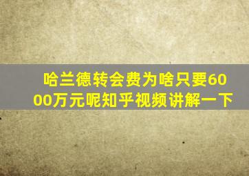 哈兰德转会费为啥只要6000万元呢知乎视频讲解一下