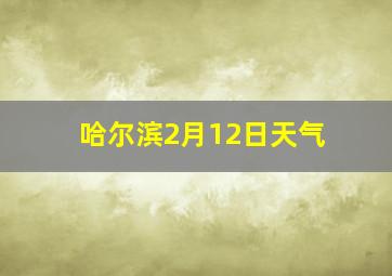 哈尔滨2月12日天气