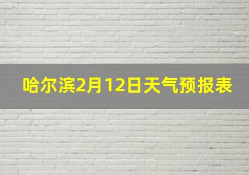 哈尔滨2月12日天气预报表