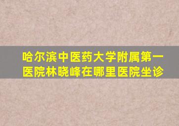 哈尔滨中医药大学附属第一医院林晓峰在哪里医院坐诊