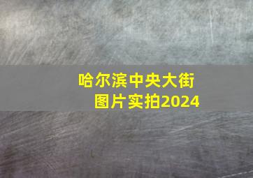 哈尔滨中央大街图片实拍2024