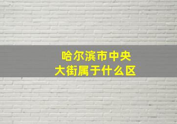 哈尔滨市中央大街属于什么区