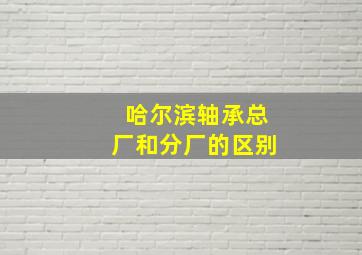 哈尔滨轴承总厂和分厂的区别