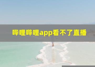 哔哩哔哩app看不了直播