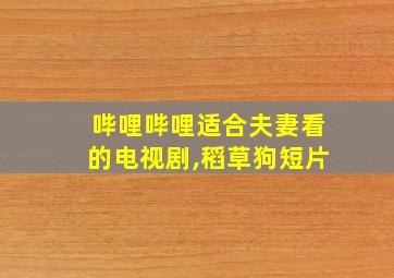 哔哩哔哩适合夫妻看的电视剧,稻草狗短片