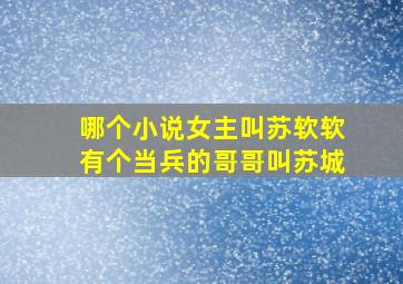 哪个小说女主叫苏软软有个当兵的哥哥叫苏城