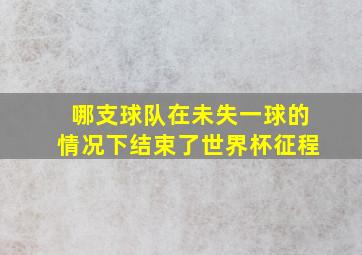 哪支球队在未失一球的情况下结束了世界杯征程