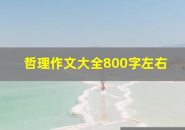 哲理作文大全800字左右