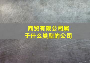 商贸有限公司属于什么类型的公司