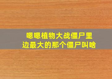 嗯嗯植物大战僵尸里边最大的那个僵尸叫啥