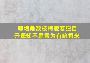 嗯墙角数枝梅凌寒独自开遥知不是雪为有暗香来